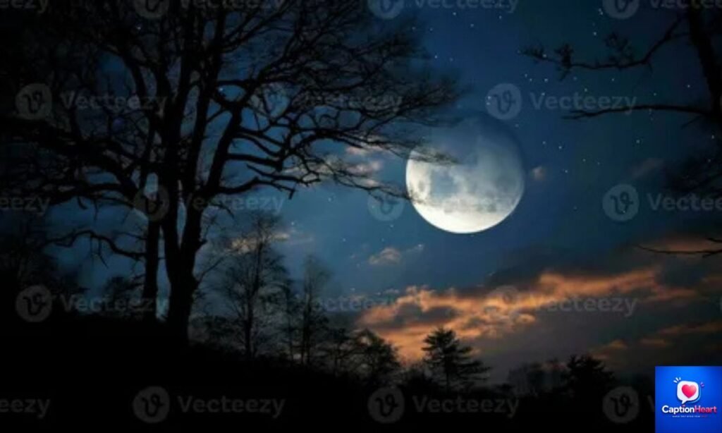 Moon Captions For Instagram
